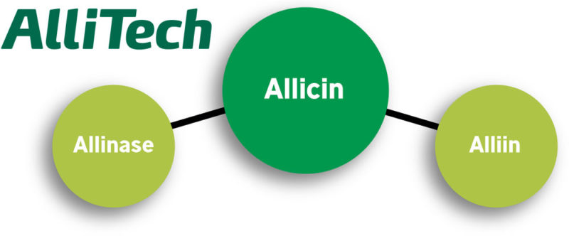 AlliTech - Allicin diagram