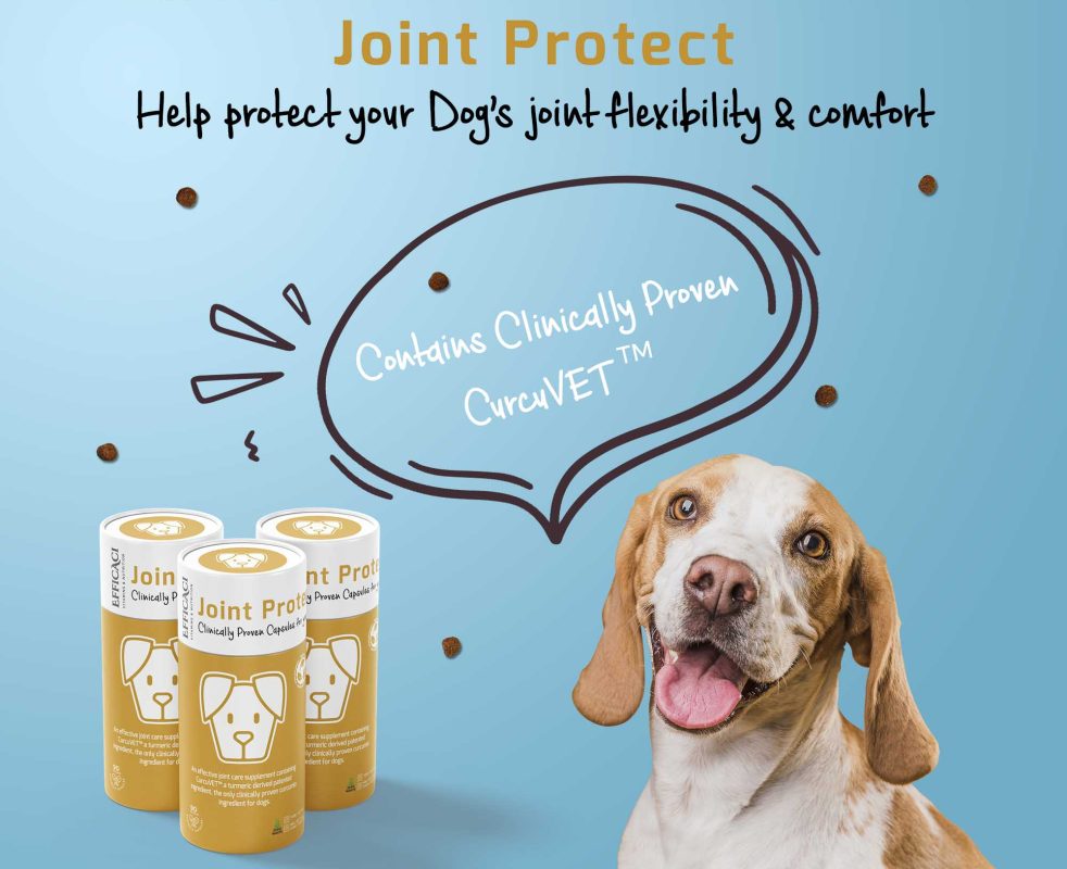 Efficaci for Dogs Joint Protect by Dulwich Health