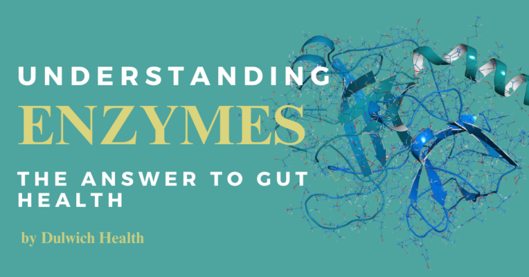 The importance of digestive enzymes on gut health by Dulwich Health